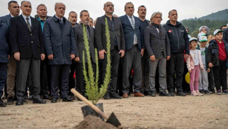 Yangında küle dönen ormanları minik eller yeşertecek