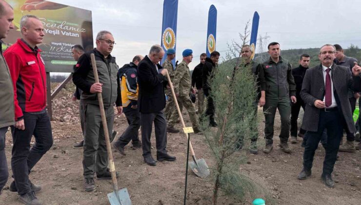 Manisa’da 2025 sonuna kadar 3,1 milyon fidan toprakla buluşacak