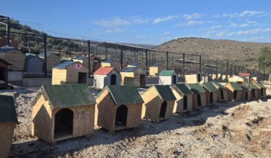 Seren Serengil’den Gülşah Durbay için Sarıalan’a destek