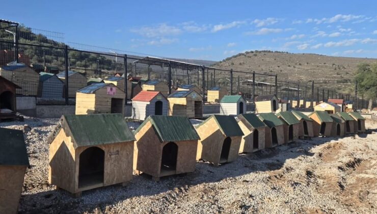 Seren Serengil’den Gülşah Durbay için Sarıalan’a destek