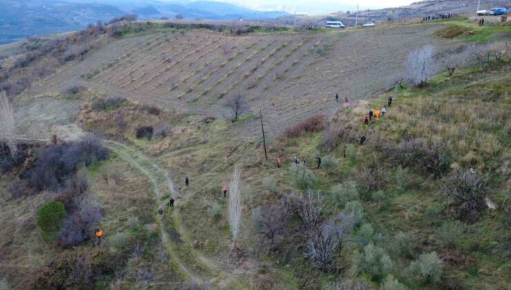 Kayıp olarak aranan kadın dere yatağında ölü bulundu